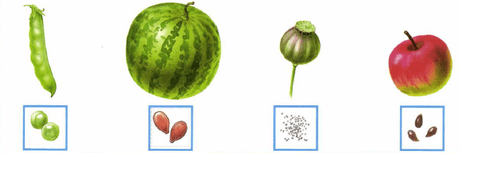 Решение рисунок 1